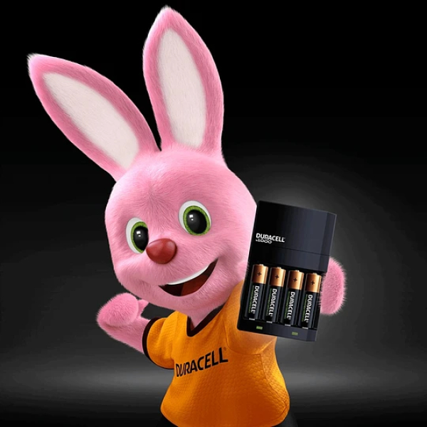 Cargador de Pila Duracell Recargables AA/AAA + 4 Pilas Recargables AA - Imagen 3